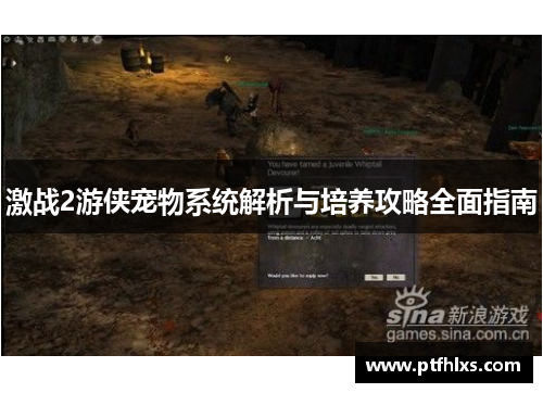 激战2游侠宠物系统解析与培养攻略全面指南