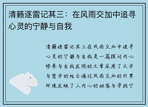 清籁逐雷记其三：在风雨交加中追寻心灵的宁静与自我